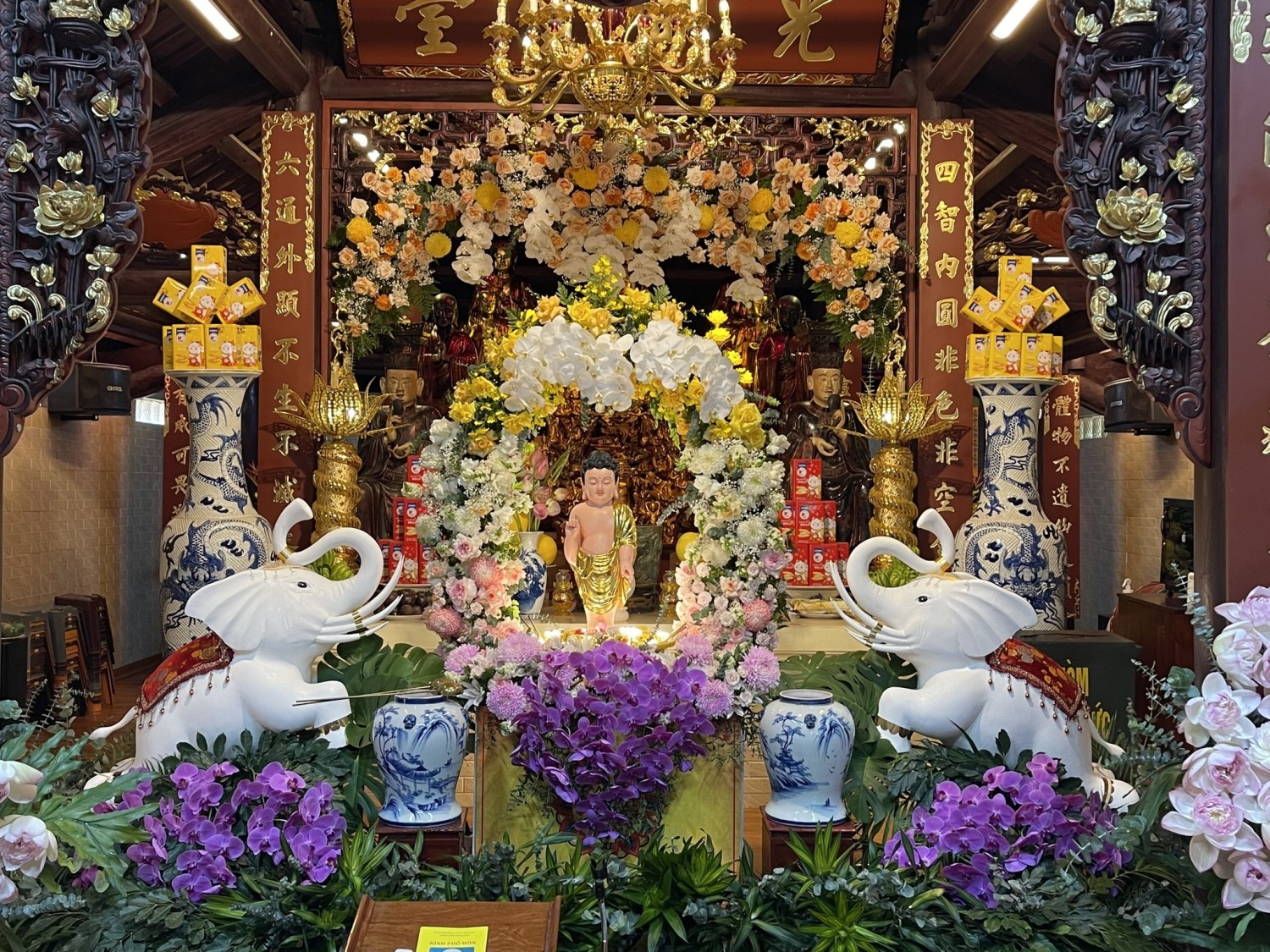 Lễ Phật đản tại các chùa thuộc Đạo tràng Tịnh Tông Học Hội Việt Nam PL. 2567
