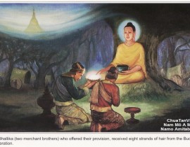 Bức Tranh Cuộc Đời Đức Phật Thích Ca Mâu Ni - Gautama Buddha Bộ 2