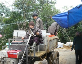 Anh-hau-can-phuc-vu-Phap-Hoi-Trung-Phong-Tam-Thoi-He-Niem-Chua-Tan-Vien-12-10-2011-P1050412.jpg