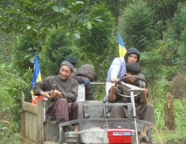 Anh-hau-can-phuc-vu-Phap-Hoi-Trung-Phong-Tam-Thoi-He-Niem-Chua-Tan-Vien-12-10-2011-P1050426.jpg