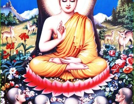 cuoc-doi-duc-phat-thich-ca-mau-ni-buddha-1-01016.jpg