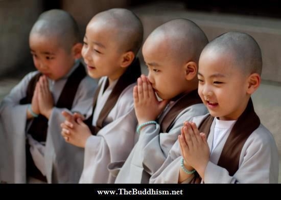 Vì Sao Càng Có Tâm Cung Kính Càng Có Lợi Trong Việc Học Phật?
