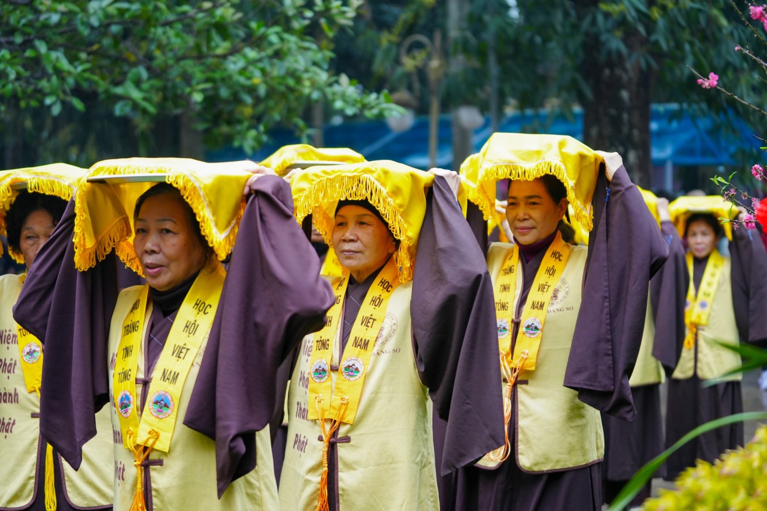 dâng sớ